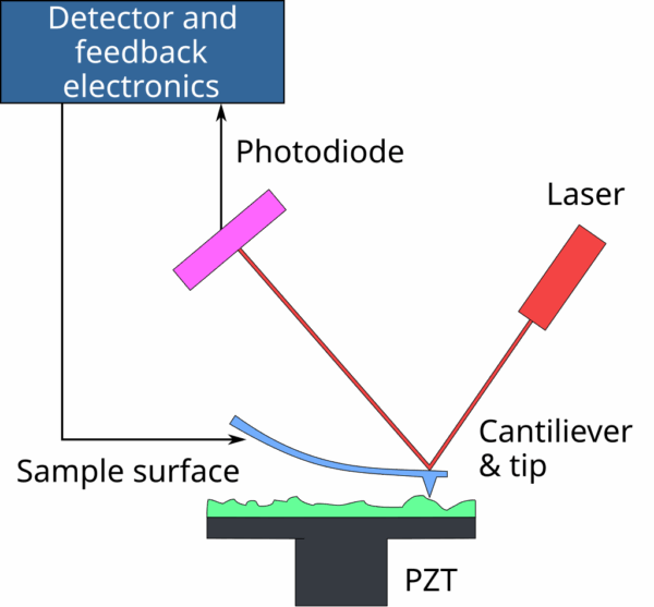 atomic force microscopy