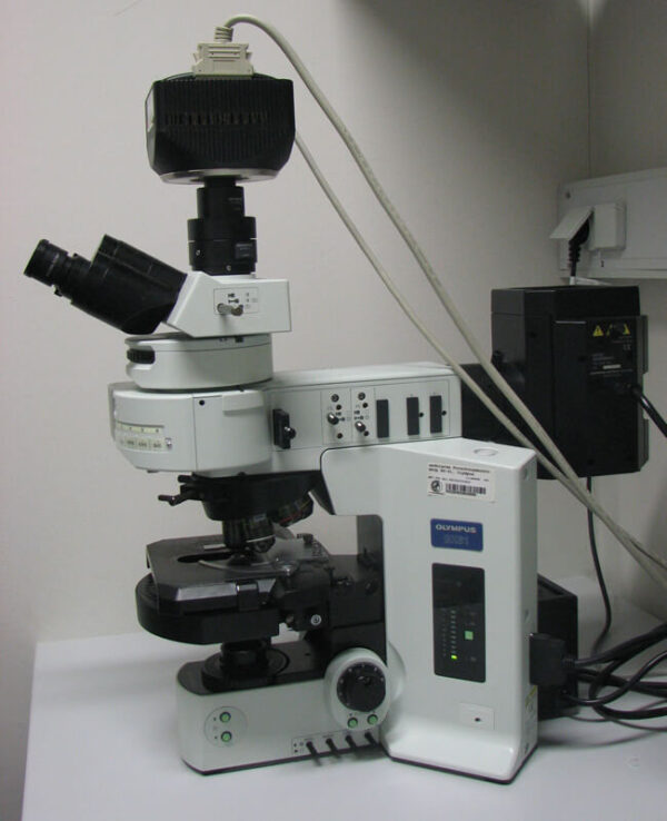 Fluorescence Microscope - Precisioneers Group