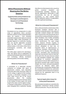 Piezosystem Jena Piezo Whitepaper